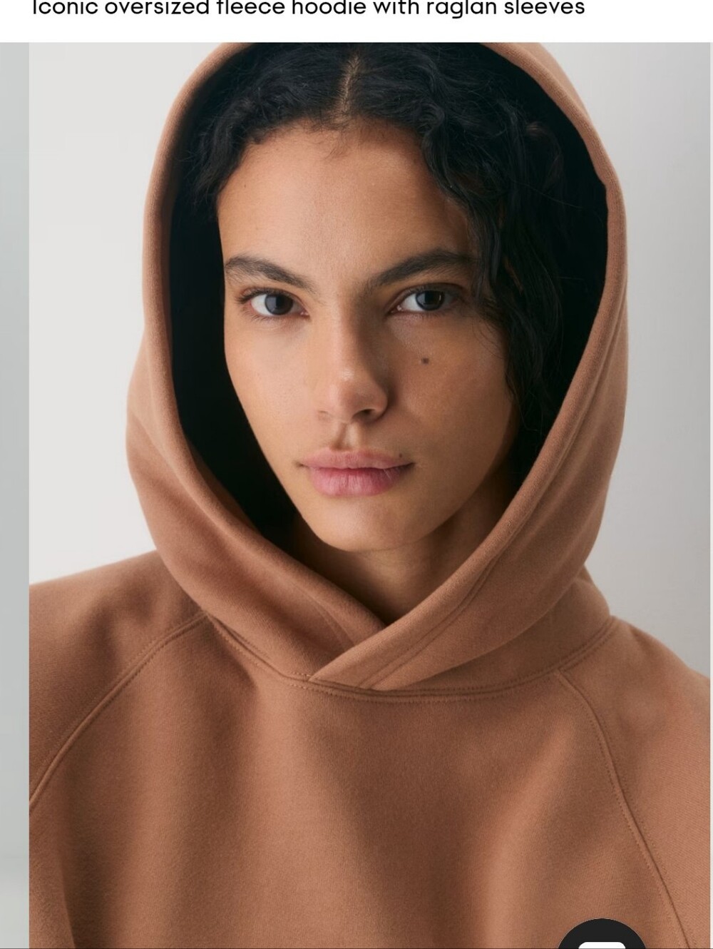Aritzia Sweatfleece Mega Raglan Hoodie in Chocolate Mousse